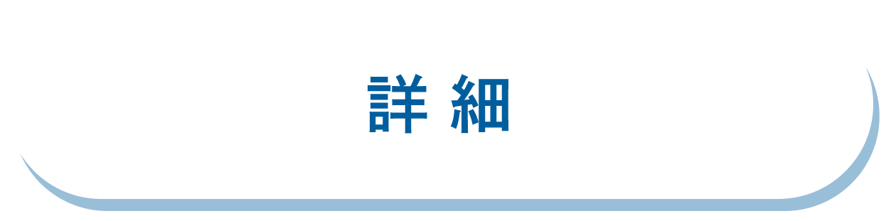 プログラム概要